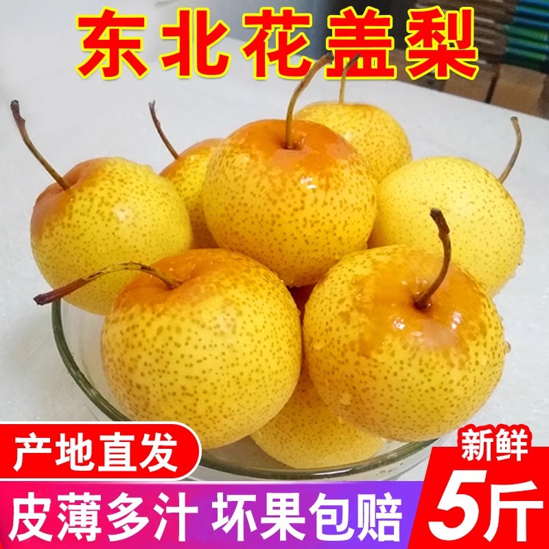 东北正宗花盖梨东北特产软梨秋子梨新鲜水果孕妇新鲜包邮5斤代发|ms