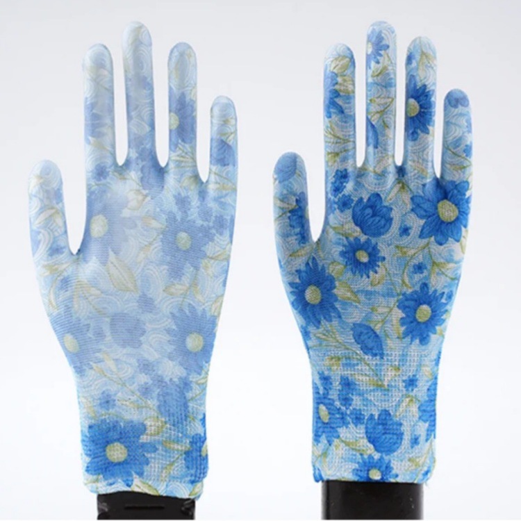 IMG_1008(20231202-233657)