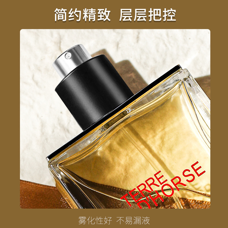 Terre Land Perfume 100ml perfumes duraderos de madera aromático spray de colonia
