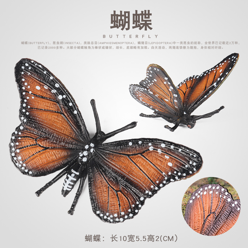 兒童實心昆蟲玩具虎斑蝶模型虎紋青斑蝶仿真蝴蝶蟲子動物認知擺件