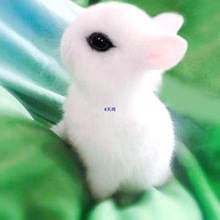 ���ӻ�������٪���P�ۺ���С�Ͳ豭���L����ă�ͯ���ﴹ���û��w