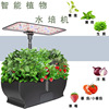 Amazon intelligence Flower pot Soilless cultivation Hydroponics Planter Lazy man Flower pot Bionic lighting Vegetables Planter