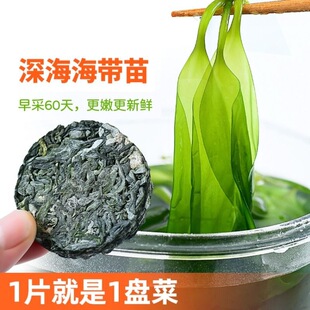 压缩海带苗嫩特级同裙带菜无沙免洗无盐即食海带片凉拌海带丝干货-阿里巴巴