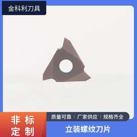 立装螺纹刀片数控刀片不锈钢合金刀头耐磨耐高温立装螺纹车刀片
