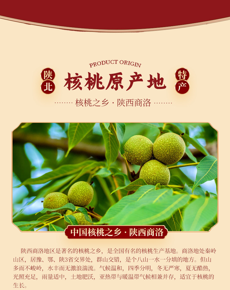 核桃-详情_04.jpg