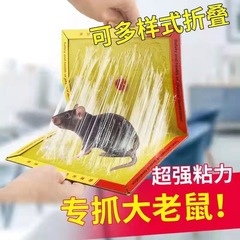 批發超強力粘鼠板捉粘大老鼠貼沾膠抓滅鼠捕鼠神器超強家用一窩端