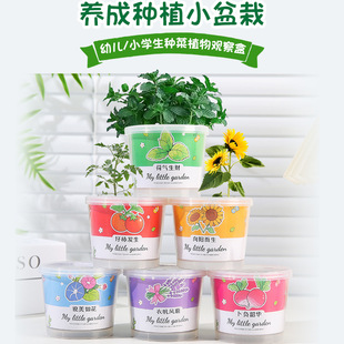 Children's Small Potted Plants for Kindergarten Students, Small Gifts for Observing Green Plant Seeds, Blind Box Seeds, Cartoon Mini