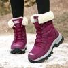 ZD9013 Purple