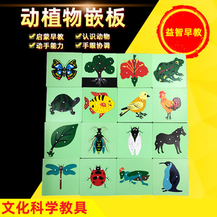 ���τ���ֲ��ƴ�D��̨����Ƕ�僺ͯ�׃��@���������ߴ���~�B��