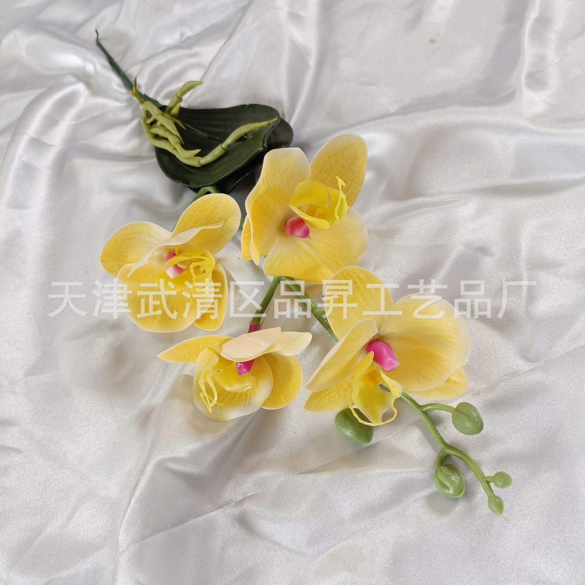 b9cbb8b5d283599cf06c45af853986