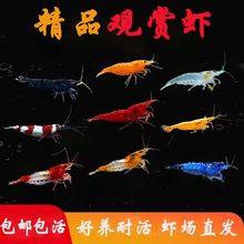 �����߲��^�p�r�ښ��r���B�ͻ����r��ˮ��ˮ�r�����坍�r���w����