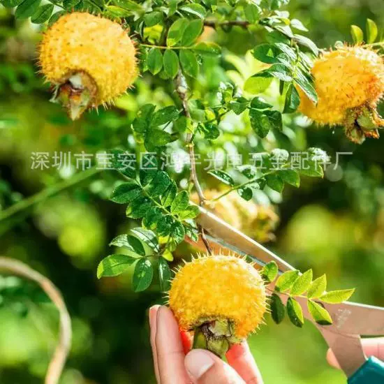 良知果1400ml刺梨汁100%原浆高含量C佳节父母亲友送礼优选佳品