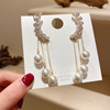 Zirconium, long earrings with tassels from pearl, double wear, light luxury style, internet celebrity