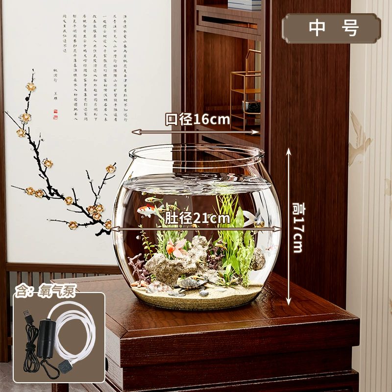 Transparent small square acrylic aquarium for office