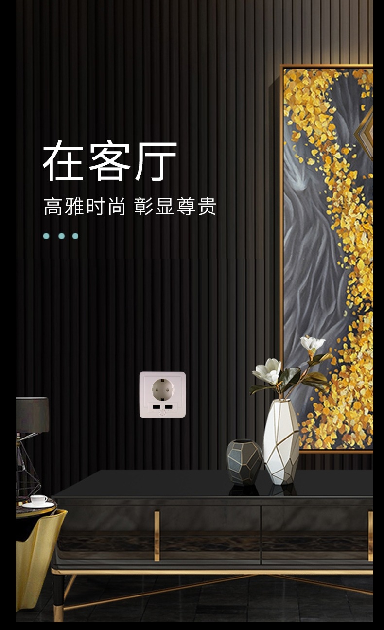 欧规墙壁插座-12.jpg