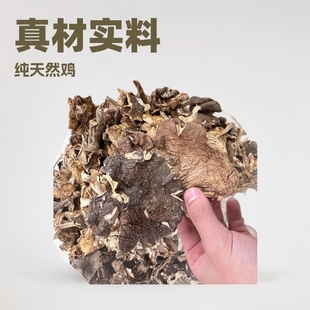 �u�����S�����l���Ұ�����a��ֱ�N��؛��ĸ�u���l���l