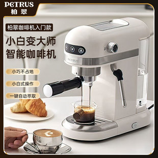Petri Pe3366 Xiaobai Xingxing Italian Espresso Household Small Coffee Machine Entry-Level Fully Semi-Automatic Milk Foaming
