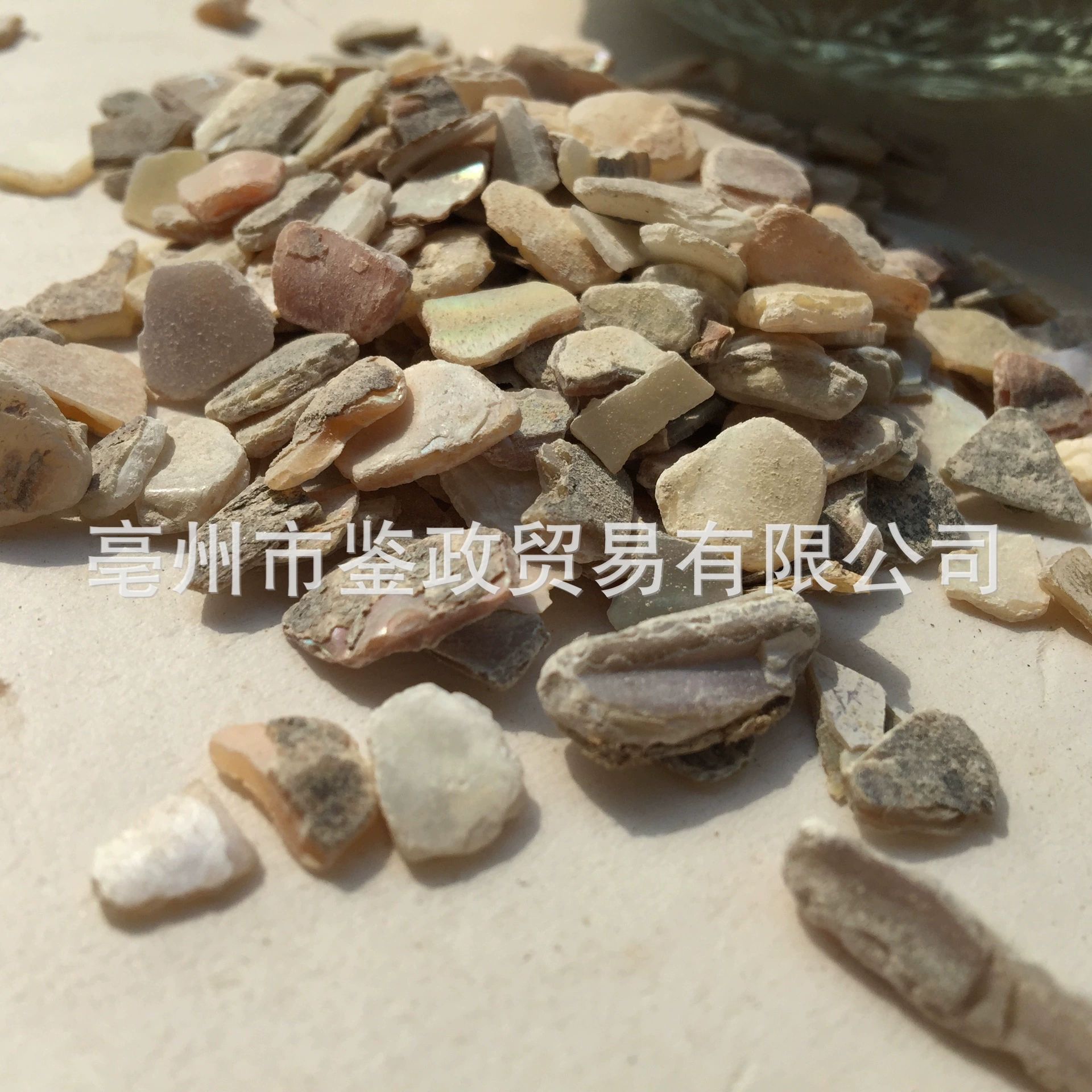 Zhen Zhu Mu Mother of Pearl Powder Raw Herb 500g Dried Concha Margaritifera for Traditional Decoctions key features