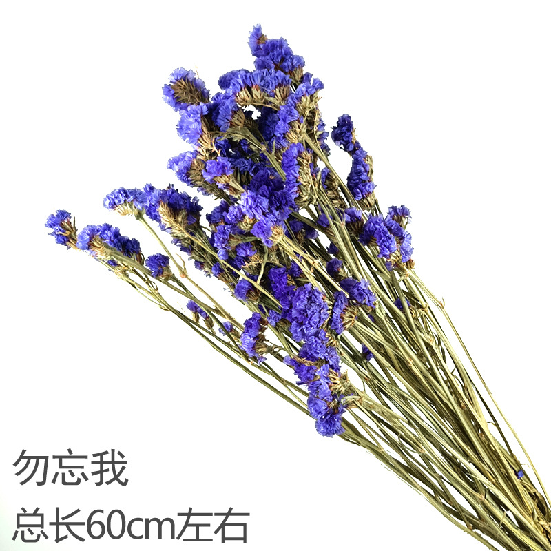 나를 잊지 마세요