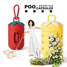狗狗牵引;狗狗服装;猫猫牵引