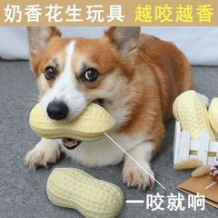 ペットの犬の音のおもちゃ、退屈を和らげるためのビニールピーナッツ、歯ぎしりと噛みつきに強いコーギー柴犬小型犬のおもちゃ