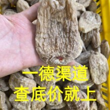 �S�����l������؛5�^10�^��ϴ�t������ș���B�����aƷ