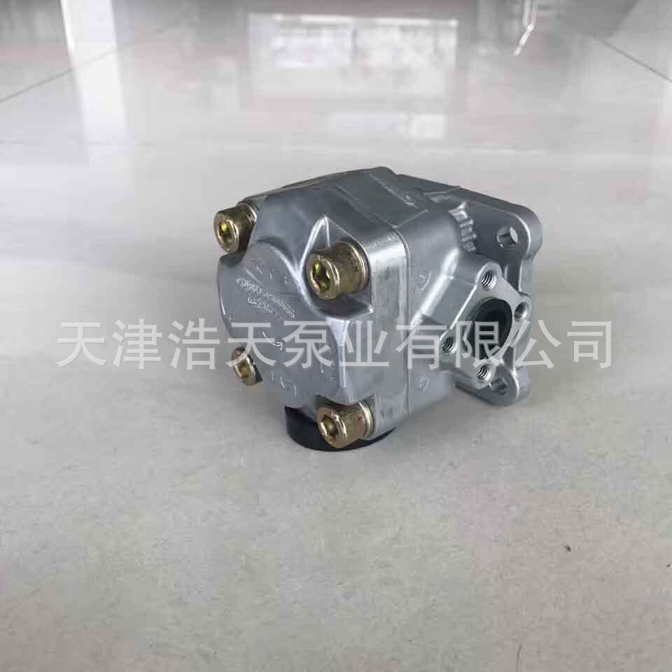 纯水齿轮泵TDSC 计量齿轮泵 低润滑齿轮泵 合金齿轮泵 铜芯齿轮泵