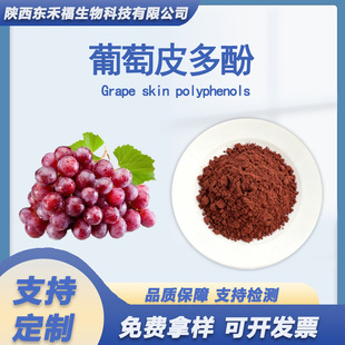 葡萄皮多酚30%40%60%葡萄皮提取物Grape Polyphenols葡萄白藜芦醇-阿里巴巴