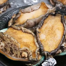 精选鲍鱼鲜活新鲜超大海鲜水产火锅生速冻大烧烤蒜蓉工厂批发