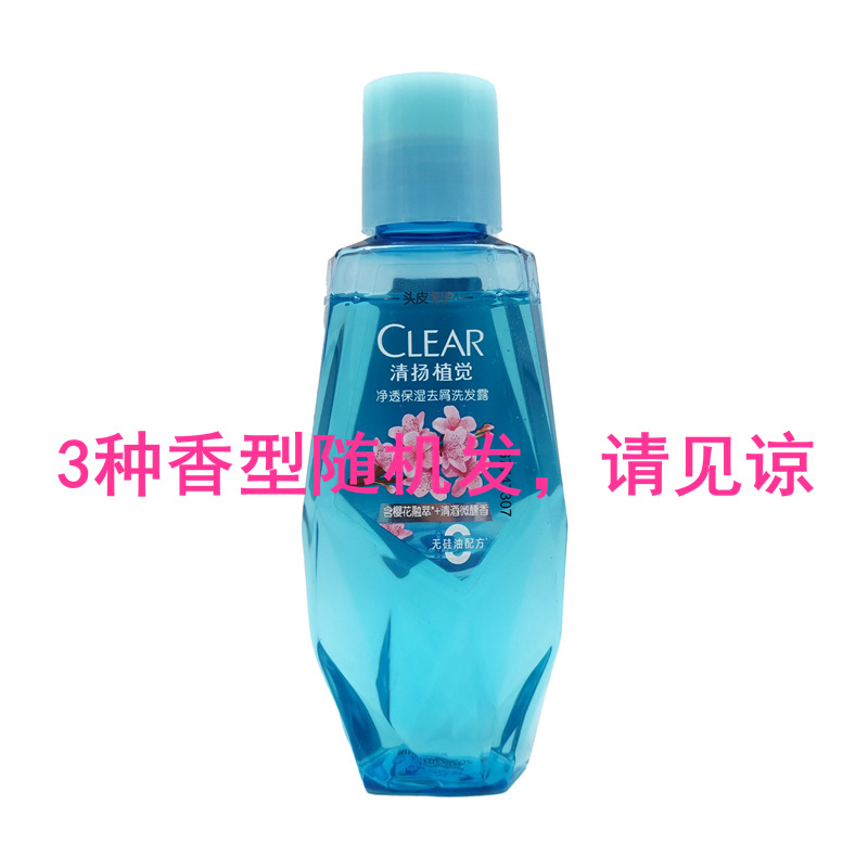 Qingyang Men's Anti-Dandruff Shampoo Refreshing Oil Control Mint Travel Portable Small Bottle Sample Women 100g