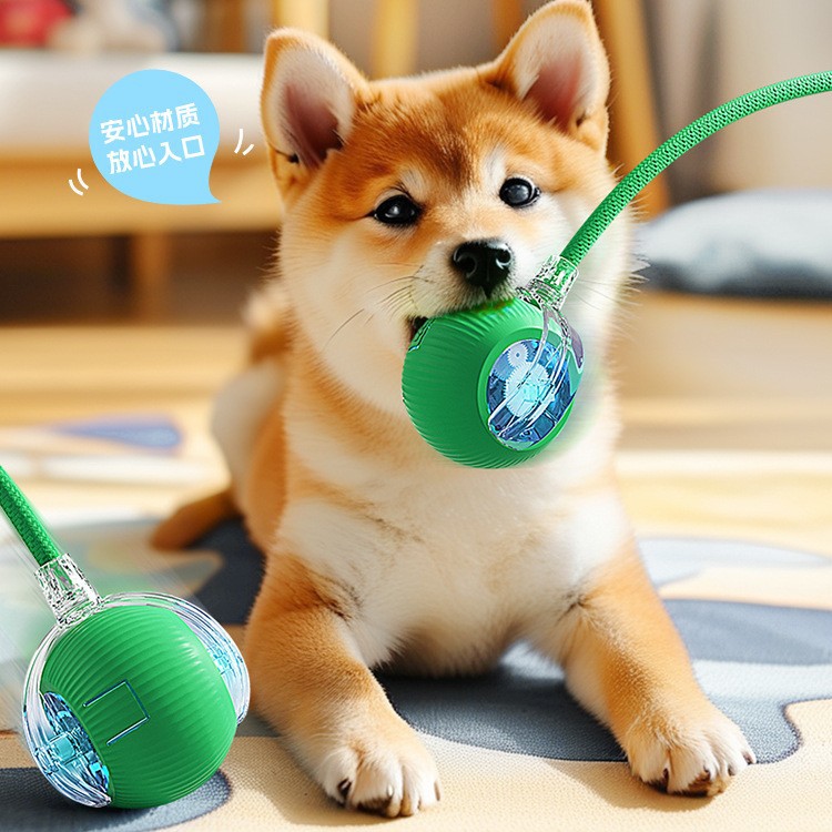 개 장난감, 자동 개 산책 공, 강아지 애완 동물 자기 오락, 물림 방지 전기 스마트 개 점핑 공 유물