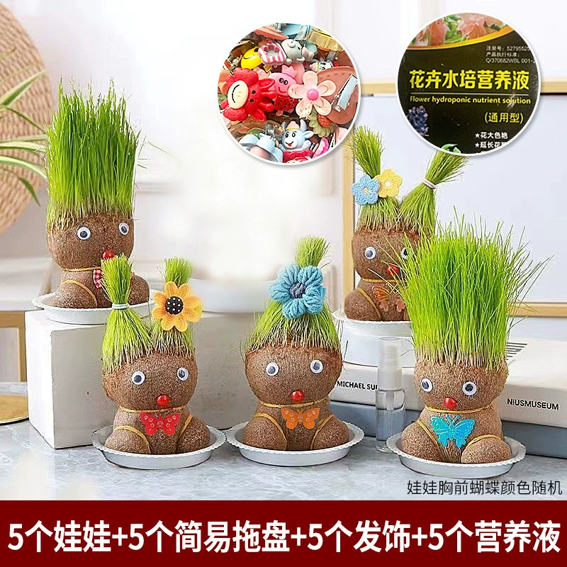 [批发草头娃娃浇水头上长草人绿植长头发儿童好养种草幼儿园桌面小]