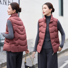 女士棉服马甲秋冬新短款羽绒棉坎肩背心宽松立领百搭修身马夹外套