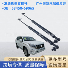 ����53450-69065�����ڷ���Ե�4000 GRJ120 RZJ120��������֧��