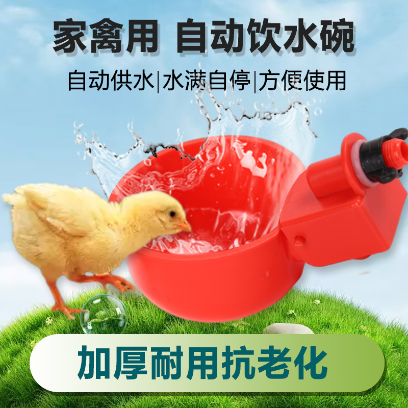 家禽小鸡饮水器全自动饮水碗鸭鹅鸽子自动喂水养殖设备家禽饮水槽