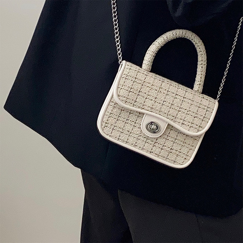French niche design ins fashion handbag casual versatile diagonal chain bag small square bag women 2024 trendy