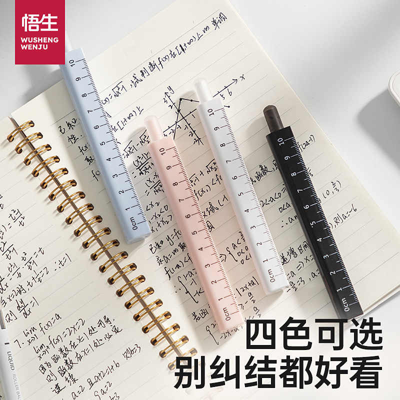 Professional Ruler Set for Secondary School Students 2