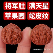 文玩核桃小手捻秋子女小手把件迷你核桃文玩把玩指间文玩男士批发