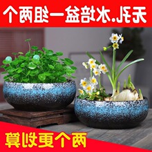 陶瓷花盆无孔水培铜钱水仙花睡莲多肉碗莲家用陶器厂家一件批发