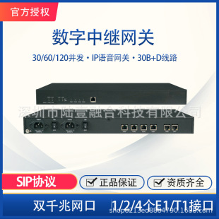E1 Digital Relay Gateway Hangzhou Sanhui Smg300-B1/2/4 Concurrent Processing of 120 Calls 30B+D Line
