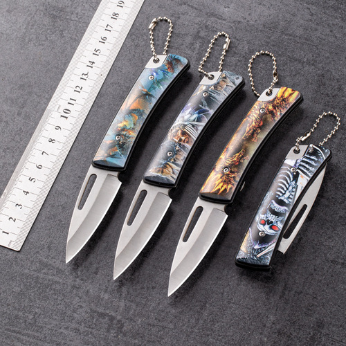 Factory Outdoor High Hardness Small Knife Folding Mini Pocket Portable Personal Fruit Knife Sharp Key Knife