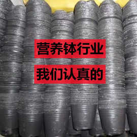 营养杯育苗杯塑料加厚一次性大号农用营养袋多肉育苗袋花盆营养钵