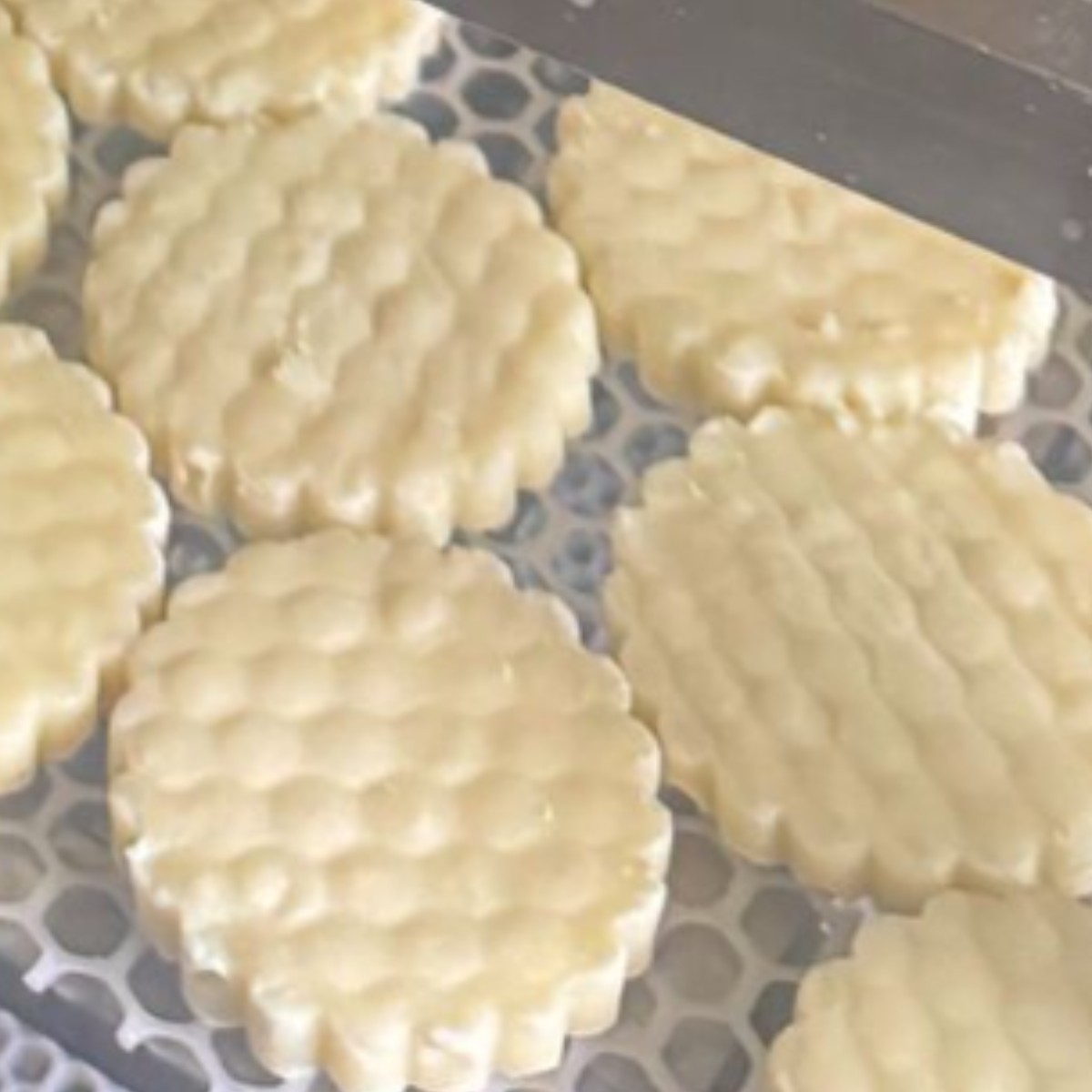 半干奶豆腐内蒙特产奶酪营养天然无添加原味零食即食手工奶制品