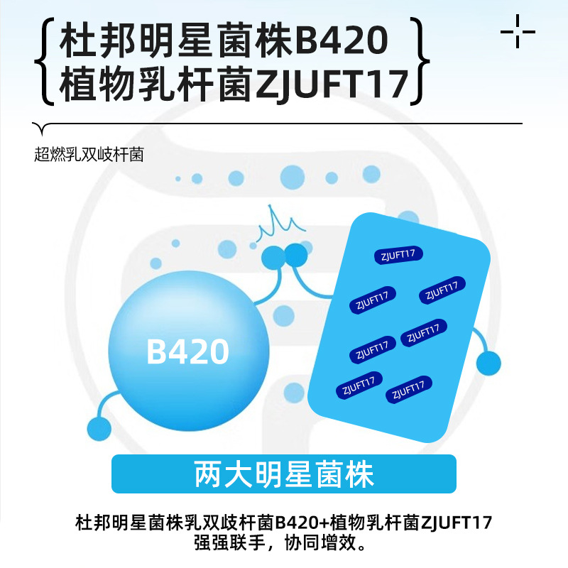 B420益生菌杜邦原菌複合益生元益生菌凍乾粉固體飲料益生菌粉批發
