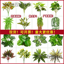 ����ֲ��GֲС�ͼٻ��[�O�쾰�����b������G�}��˹����