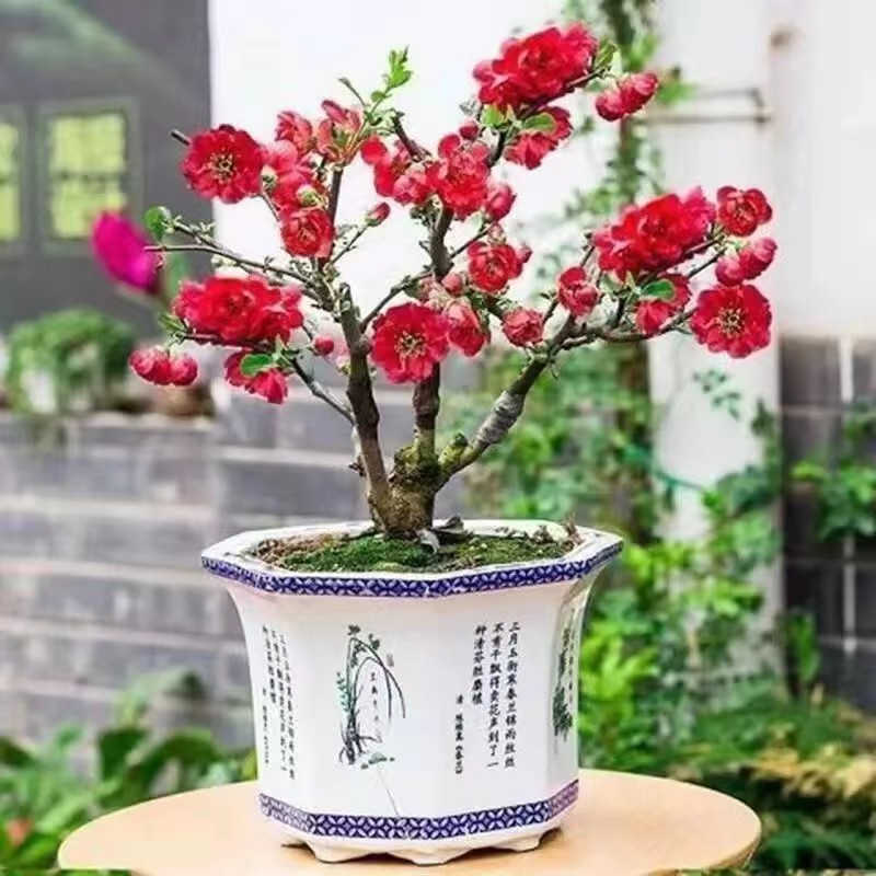 /O1CN01bzW4fS29WrfDoeFUa_!!2219372428076-0-cib.jpg?x-oss-process=image/format,png