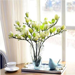 Flowering When Exposed to Water, Hydroponic Gardenia, Magnolia Florals, Strong Fragrance, Indoor Hydroponic Plants, Office Green Plants, New Products, Good Gold