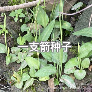 һ֧���N�� �N�������������ҧ�� ƿ������Ϣ�ݷN��