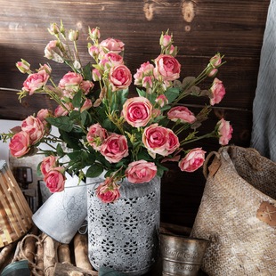 �S�����l���^õ�廨���滨õ��Ҿ��b�c�ٻ�GF14203