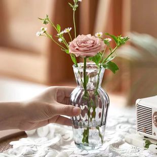 Wind Mini Glass Vase Hydroponic Green Plant Decoration Desktop Transparent Flower Arrangement Ornaments
